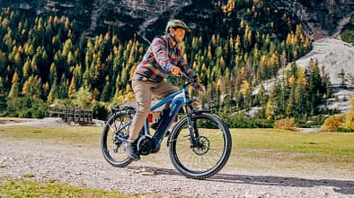 Trekking E-Bike Victoria Fybron Action