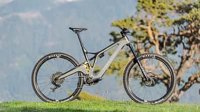 Light-E-MTBs