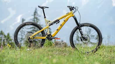 Light-E-MTBs
