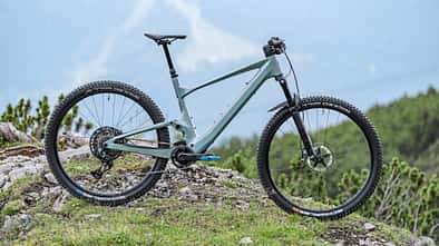 Light-E-MTBs