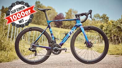 Liv Enviliv Advanced Pro,Rennrad,Logo