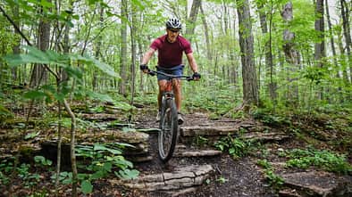 Neues Waldgesetz sorgt für Ärger bei Mountainbikern