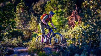 Cube Stereo One22 HPC EX 29