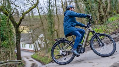 Trekking E-Bike Giant Anytour Action Hillclimb