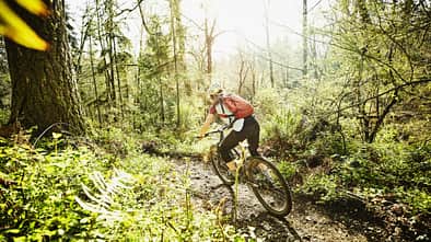 Rear view of woman riding mountain bike down forest trail on sunny afternoon