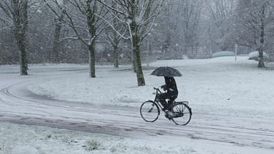 Studie: Alleinunfälle Fahrrad 