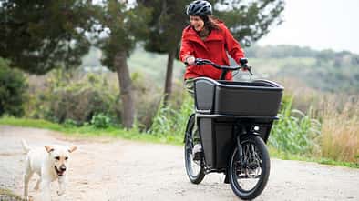 E-Bike leasen oder kaufen 