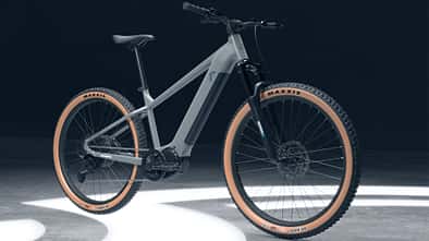 Crivit E-MTB im Angebot!