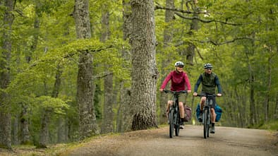Bosch Neuheiten Eurobike 2025!