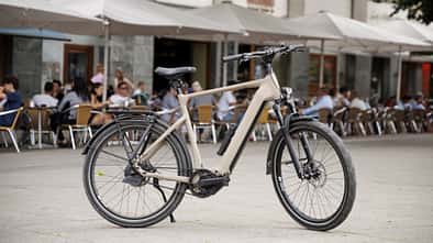 Rose Mayor Plus im Test