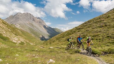 Bike group on singletrail, Italy
