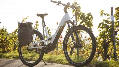 Bulls Vuca EVO FSX 1 im Test