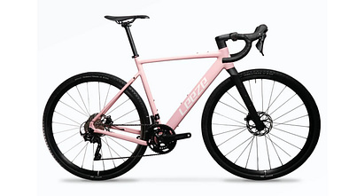 Leeze Bomberg GX Farbton Flamingo