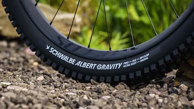 Reifen Schwalbe Albert