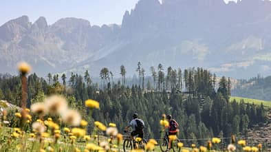 Südtirol,Bergpanorama,Blühende Wiese