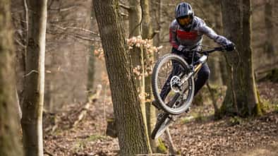 Das neue Canyon Torque AL.