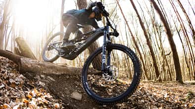 Canyon Strive:On