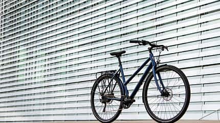 UB Ampler Stellar 2019 1 UB Ampler Stellar 2019 1