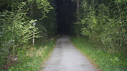 MB_1118_Lampentest_Lichtkegel_Lupine (jpg) MB_1118_Lampentest_Lichtkegel_Lupine (jpg)