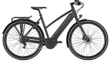 UB Pedelec Gazelle 2018 CityZen C8+HMB UB Pedelec Gazelle 2018 CityZen C8+HMB
