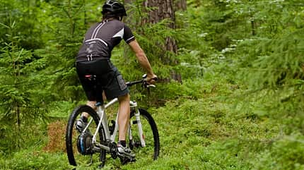 UB_CUBE_EPO_29er_WALD (jpg) Action UB_CUBE_EPO_29er_WALD (jpg) Action