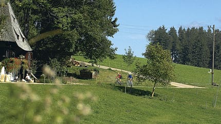 RB Tour Schwarzwald RB Tour Schwarzwald