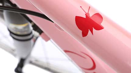 RB0513_Redaktions_Raeder_Hahn_Dagmar_Details_005 (jpg) RB0513_Redaktions_Raeder_Hahn_Dagmar_Details_005 (jpg)