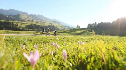 MB Bikehotels Südtirol Advertorial Teaser Bild 9 MB Bikehotels Südtirol Advertorial Teaser Bild 9