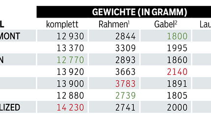 MB 0219 Tourenfullys Test Gewichte MB 0219 Tourenfullys Test Gewichte