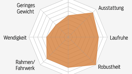 MB 0219 Tourenfullys Test Spinne MB 0219 Tourenfullys Test Spinne