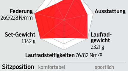 rb-0418-radtest-profil-rose (jpg) rb-0418-radtest-profil-rose (jpg)