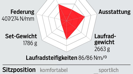 rb-0418-radtest-profil-stevens (jpg)