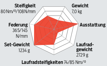 rb-1118-top-rennraeder-disc-grafik-spinne-canyon (jpg)
