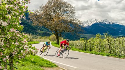 rb-bikehotels-suedtirol-feb-2019-kirsten-soerries-fruehling1-teaser rb-bikehotels-suedtirol-feb-2019-kirsten-soerries-fruehling1-teaser