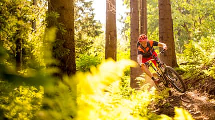 Trailpark Winterberg Trailpark Winterberg