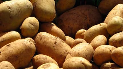 RB-Kartoffeln-Rainer-Sturm-Pixelio RB-Kartoffeln-Rainer-Sturm-Pixelio