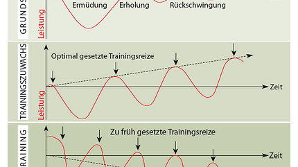 RB Training mit System - Grafik RB Training mit System - Grafik