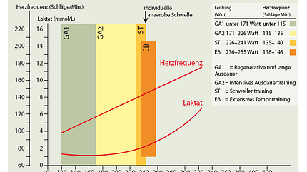 RB Laktat-Stufentest - Grafik RB Laktat-Stufentest - Grafik