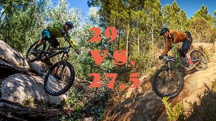 MB YT Capra 2018 MB YT Capra 2018