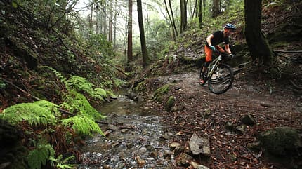 MB Santa Cruz Highball MB Santa Cruz Highball