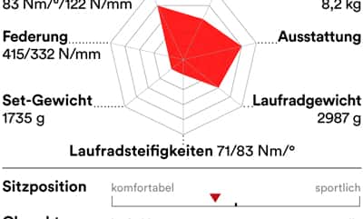 rb-0519-carbon-rennraeder-unter-3000-profil-radon-spire-disc-carbon-90 (jpg) rb-0519-carbon-rennraeder-unter-3000-profil-radon-spire-disc-carbon-90 (jpg)