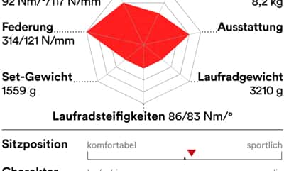 rb-0519-carbon-rennraeder-unter-3000-profil-canyon-endurace-cf-sl-disc-80-pro (jpg)