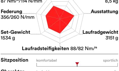 rb-0519-carbon-rennraeder-unter-3000-profil-felt-fr-5-disc (jpg)
