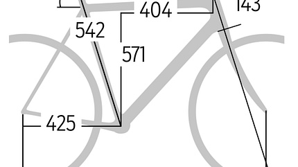 RB 1217 Canyon Inflite CF SLX 8.0 Pro Race Geometrie