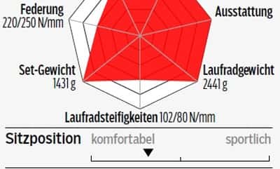 rb-0417-rose-xeon-team-cgf-3000-profil-roadbike (jpg) rb-0417-rose-xeon-team-cgf-3000-profil-roadbike (jpg)