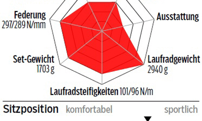 rb-0716-einzeltest-ktm-revelator-3500-profil-roadbike (jpg)