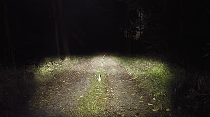 MB_1118_Lampentest_Lichtkegel_stvzo (jpg) MB_1118_Lampentest_Lichtkegel_stvzo (jpg)