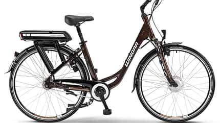 ub_e-bike_pedelec_Winora_C0_braun (jpg) ub_e-bike_pedelec_Winora_C0_braun (jpg)
