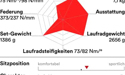 rb-0619-radtest-touren-rennraeder-charakter-stevens-comet-disc (jpg) rb-0619-radtest-touren-rennraeder-charakter-stevens-comet-disc (jpg)