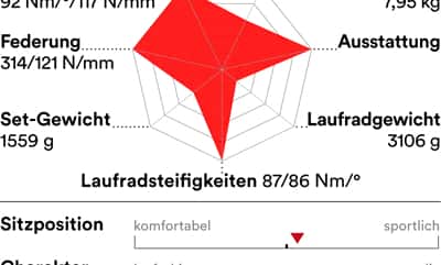 rb-0619-radtest-touren-rennraeder-charakter-canyon-endurace-cf-sl-disc-80-di2 (jpg)
